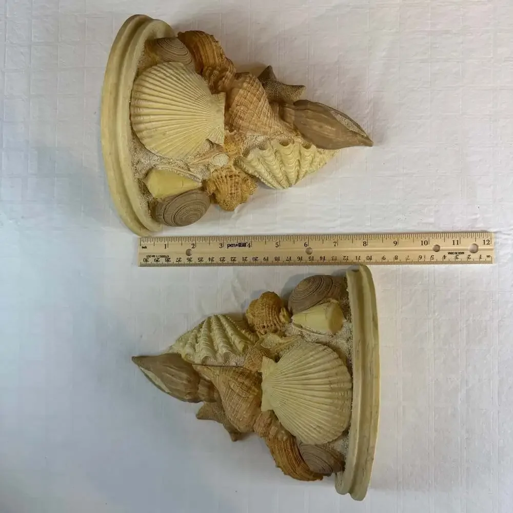 Coastal Seashell resin Wall Mounted shelves Set of 2 Beige/Brown *